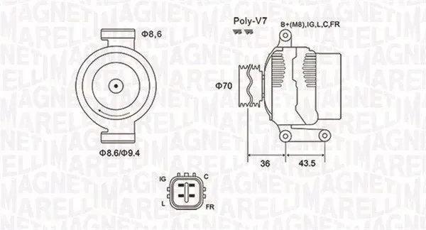 alternator-063731980010-magneti