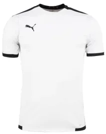puma-koszulka-t-shirt-dziecieca-sportowa-roz-164