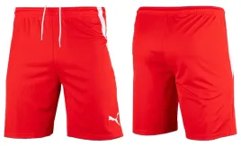 spodenki-meskie-puma-teamliga-krotkie-sportowe-treningowe-szorty-roz-m