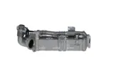 modul-egr-48366-nrf