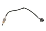 czujnik-temperatury-spalin-det-0102-den