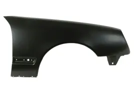 blotnik-przod-p-pasuje-do-mercedes-e-klasa-w210-07-99-03-03