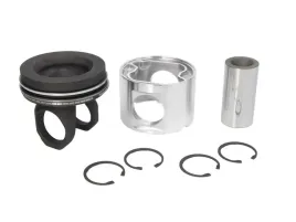 tlok-scania-mahle