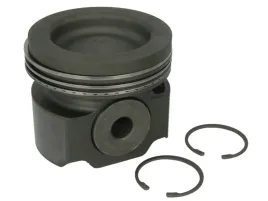 mahle-038-73-00-tlok