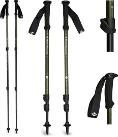 kije-trekkingowe-black-diamond-explorer-4-bd112551-3010