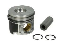 mahle-010-15-00-tlok