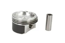 mahle-010-05-00-tlok