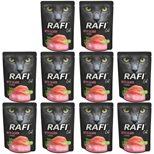 Rafi Cat karma mokra dla kota Dolina Noteci łosoś 10 x 300g