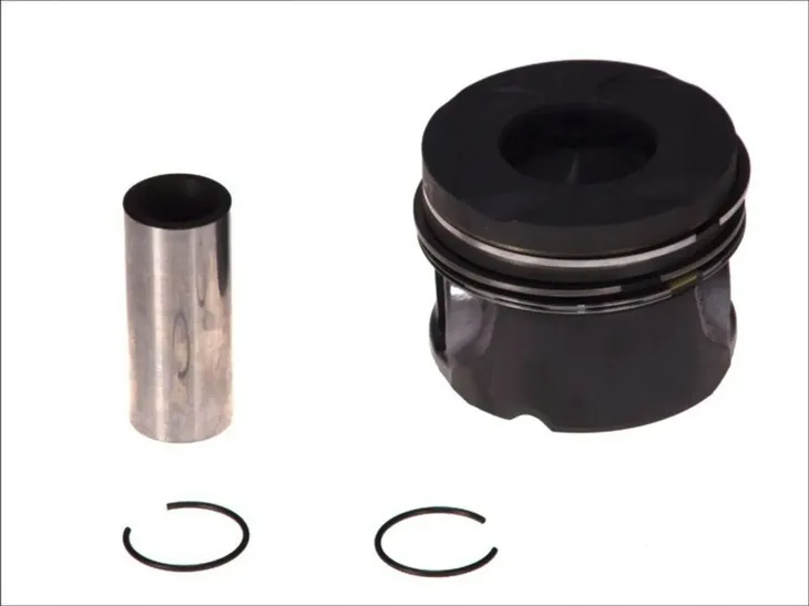 tlok-0045600-mah
