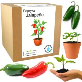 zestaw-do-uprawy-papryka-chili-jalapeno-papryki-ostra-czerwona-nasiona-5szt