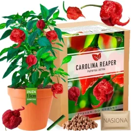 papryka-carolina-reaper-hp22b-red-nasiona-zestaw-do-uprawy-xxl-bardzo-ostra