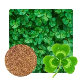 mikrokoniczyna-nasiona-koniczyna-drobnolistna-biala-gesta-samonawozaca-500g