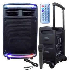 kolumna-przenosna-bluetooth-karaoke-akumulator-usb