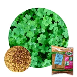 mikrokoniczyna-nasiona-koniczyna-drobnolistna-biala-500g-gesta-dekoracyjna