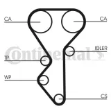 pasek-rozrzadu-ct955-contitech-producent-czesci-continental