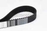 pasek-rozrzadu-ct884-contitech-producent-czesci-continental