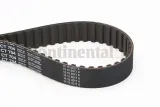pasek-rozrzadu-ct704-contitech-producent-czesci-continental