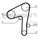 pasek-rozrzadu-ct1084-contitech