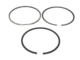 zestaw-pierscieni-tloka-007rs001050n0-mah