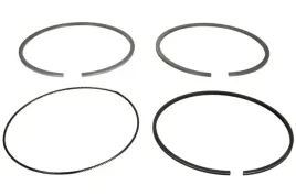 zestaw-pierscieni-tloka-007rs101110n0-mah