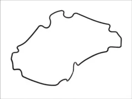 uszczelka-pokrywy-obudowy-skrzyni-biegow-1-24149