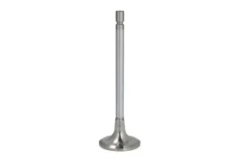 zawor-ssacy-01-0520-500002