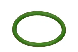 oring-parownik-007950024180-magneti