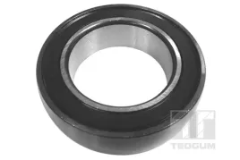 lozysko-polosi-walu-napedowego-00224558-ted