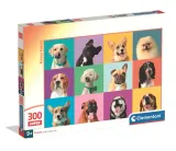 puzzle-300-elementow-funny-faces-clementoni-wiek-gracza-18