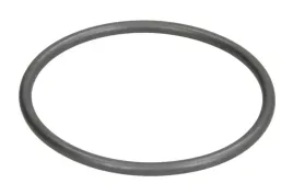 uszczelka-termostatu-002-240-elring