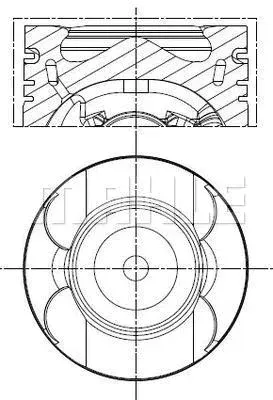 tlok-001-pi-00133-002