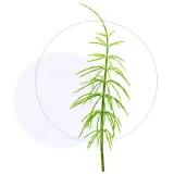 jasnum-uro-60-kapsulek-marka-inna