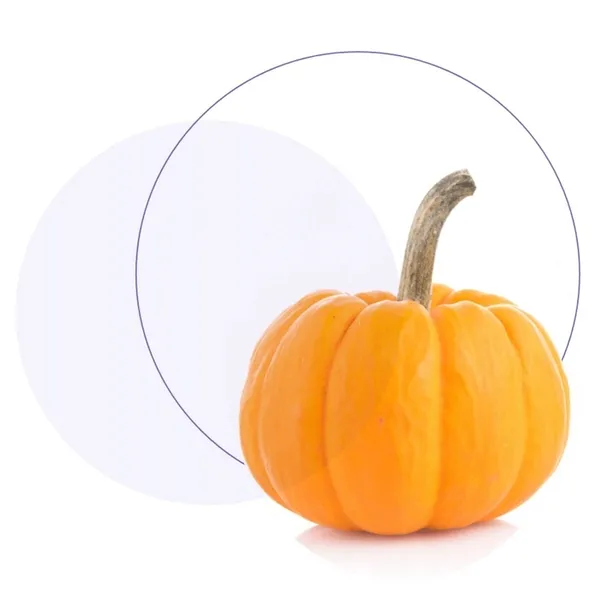 jasnum-uro-60-kapsulek-stan-opakowania-oryginalne