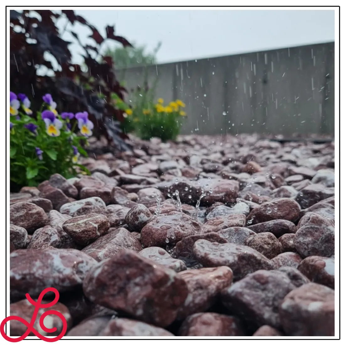 otoczak-czerwony-kamien-do-ogrodu-red-dekoracyjny-4-8cm-15kg-ozdobny-stan-nowy