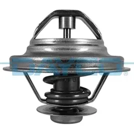 termostat-dt1009v-day