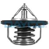 termostat-dt1014v-day