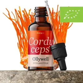 bio-cordyceps-polski-maczuznik-bojowy-ollywell-krople-ekstrakt-adaptogen