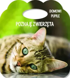 poznaje-zwierzeta-ks-z-uszkiem-domowe-pupile