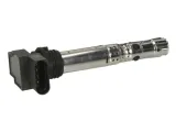 cewka-zaplonowa-zse-059