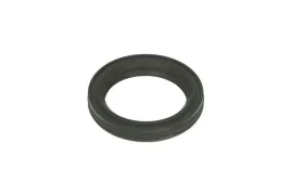 uszczelnienie-element-nastawczy-walek-mimosrodowy-725-250-elring