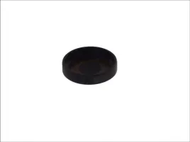 zatyczka-osie-dzwigienek-zaworowych-700-144-top