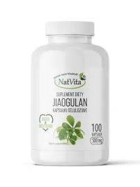 jiaogulan-gynostemma-dlugowiecznosc-przeciwutleniacz-100-kap-500mg-natvita