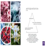 kompozycja-zapachowa-intention-20-ml-stan-nowy