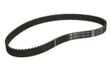 pasek-rozrzadu-5560xs-gts