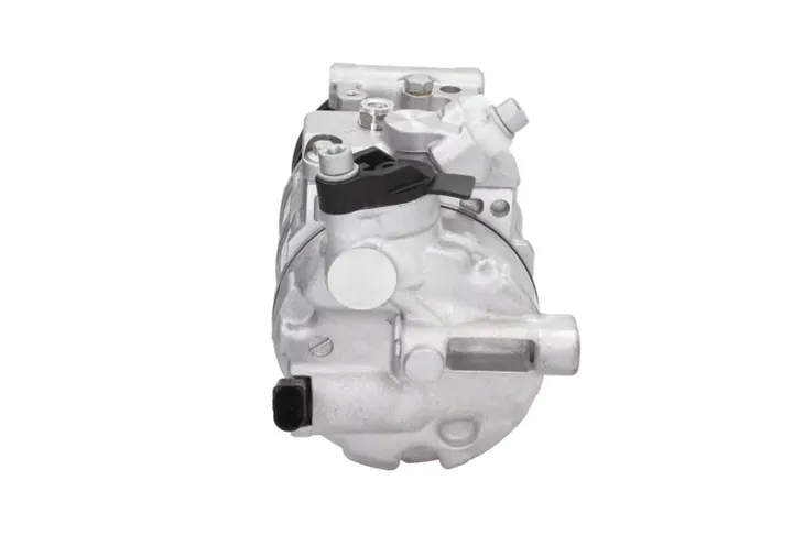 kompresor-klimatyzacji-dcp32069-den-producent-czesci-denso