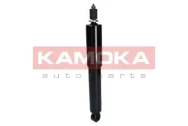 amortyzator-przod-l-p-olej-2000989-kao