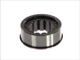 lozysko-walka-mechanizmu-roznicowego-1-17110