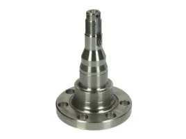 piasta-kola-08340-feb