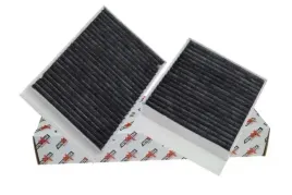 filtr-kabiny-weglowy-2-szt-180004210-dll