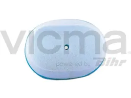 filtr-powietrza-13935-vicma